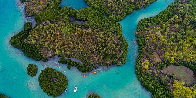 Kayaking trip dambre island half (10)